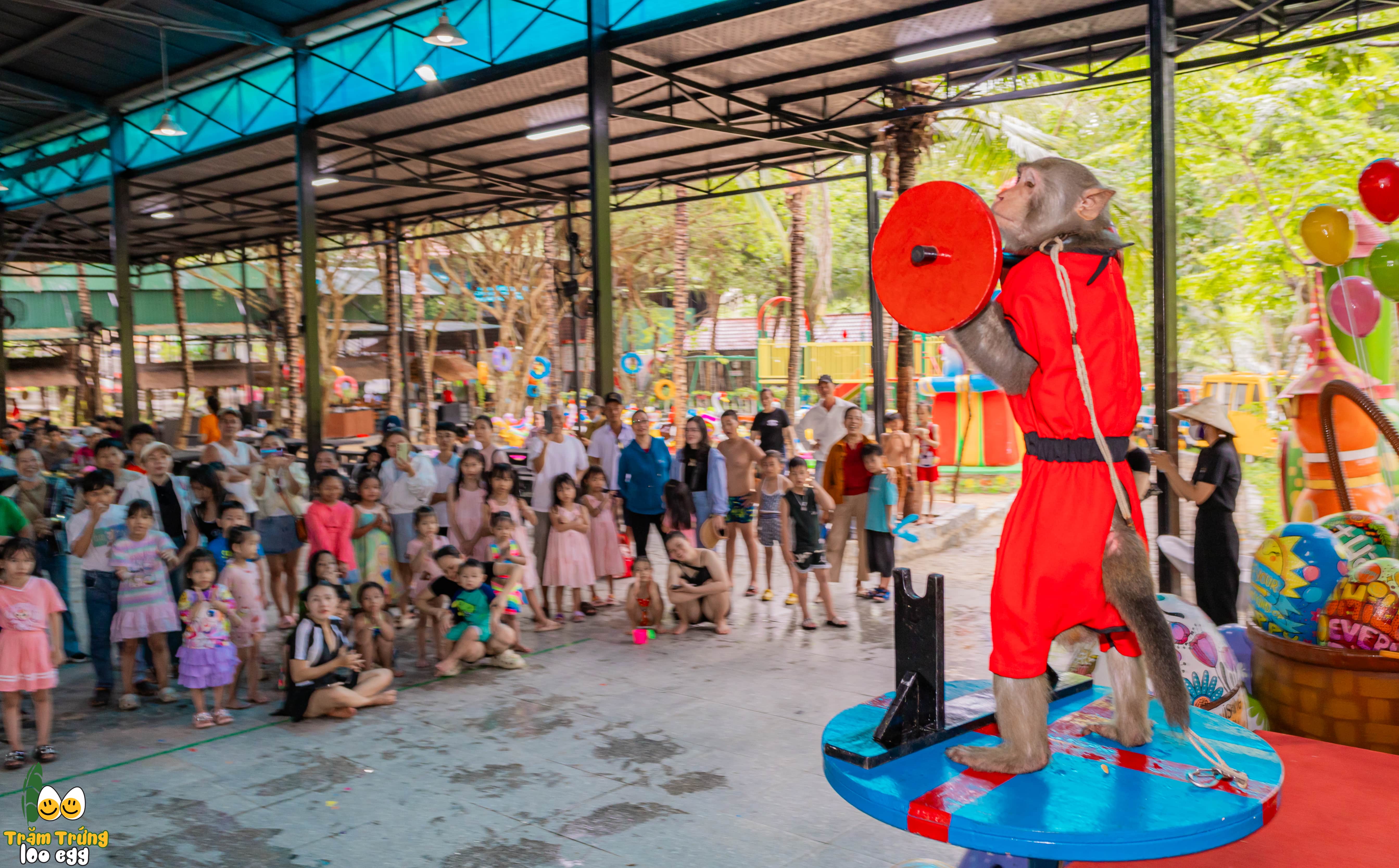 Xiếc Thú Vui Nhộn